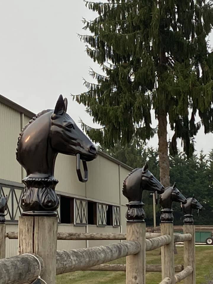 The Naughty Equestrian Pop Up Donida Summer Dressage Schooling Show (6/26/21)