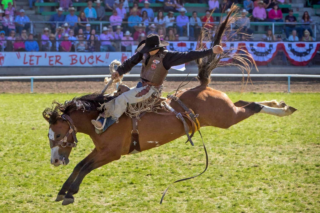 The Naughty Equestrian Pop Up - Pendelton Round-Up (9/14 - 9/18)