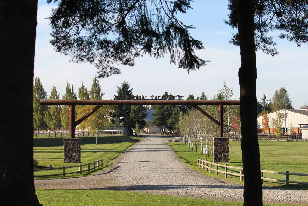 The Naughty Equestrian Event | Rainier N.W. Dressage Championships and rec. 8/28-8/30/2020