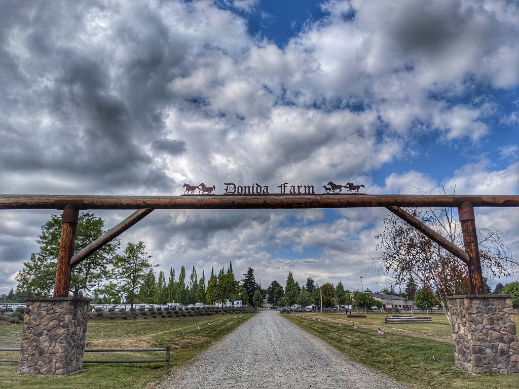 The Naughty Equestrian Sponsors USDF Championships - 10/03/2020