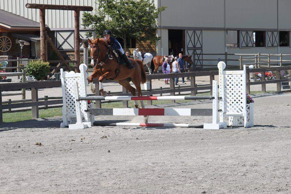 The Naughty Equestrian Sponsors Donida Farm 3-In-1 Dressage,Event Derby & Jumping Schooling Show - 10/10/2020