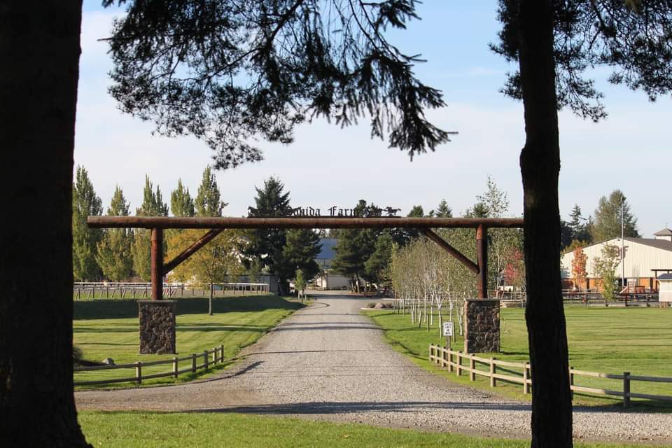 Naughty Equestrian Pop Up - Rainier N.W. Dressage Championships (8/27 - 8/29)