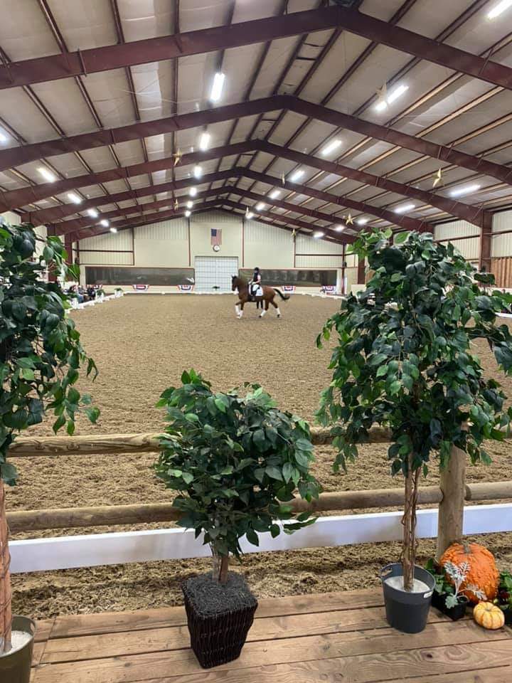 The Naughty Equestrian Sponsors - Donida Dressage Under Cover (3/6 & 3/7)