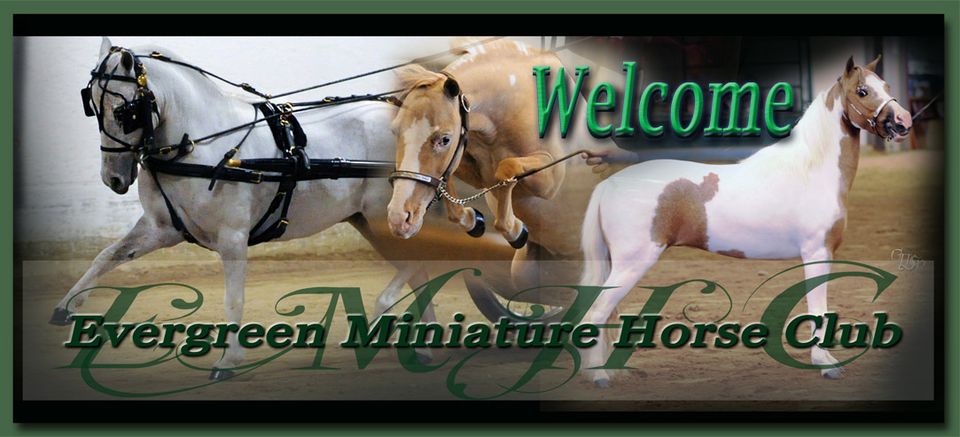 The Naughty Equestrian Pop Up - Everegreen Mini Show (7/9 - 7/10)