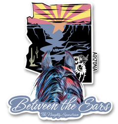 Arizona Between the Ears Series Sticker, Laptop Sticker, Western Vinyl Decal