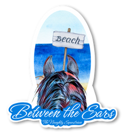 Beach Sign Between the Ears Series Refrigerator Magnet, Western Magnet