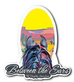 Desert Between the Ears Series Sticker, Laptop Sticker, Western Vinyl Decal