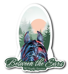 Forest Between the Ears Series Refrigerator Magnet, Western Magnet
