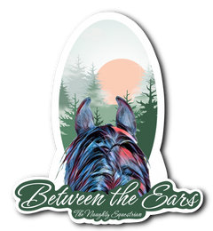 Forest Between the Ears Series Sticker, Vinyl Car Decal