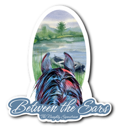 Lake Between the Ears Series Sticker, Vinyl Car Decal