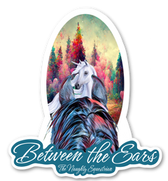 Unicorn Between the Ears Series Sticker, Vinyl Car Decal