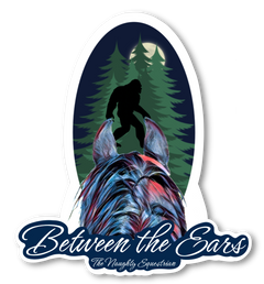 Bigfoot Between the Ears Series Refrigerator Magnet, Western Magnet