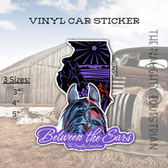 Illinois Between the Ears Series Sticker, Vinyl Car Decal