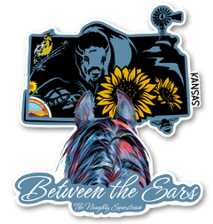 Kansas Between the Ears Series Sticker, Laptop Sticker, Western Vinyl Decal