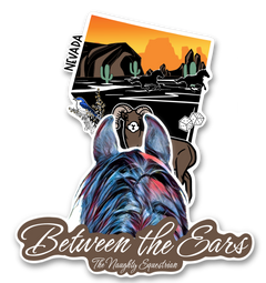 Nevada Between the Ears Series Sticker, Laptop Sticker, Western Vinyl Decal