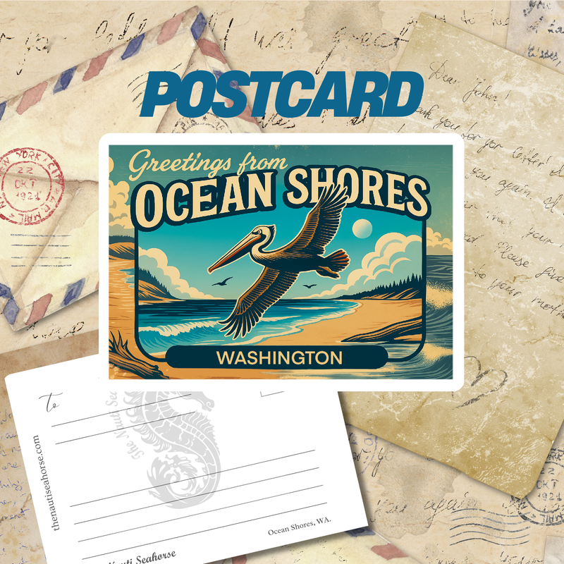 Ocean Shores Heron Postcard, Washington City Postcards, 5x7 Glossy Collectibles