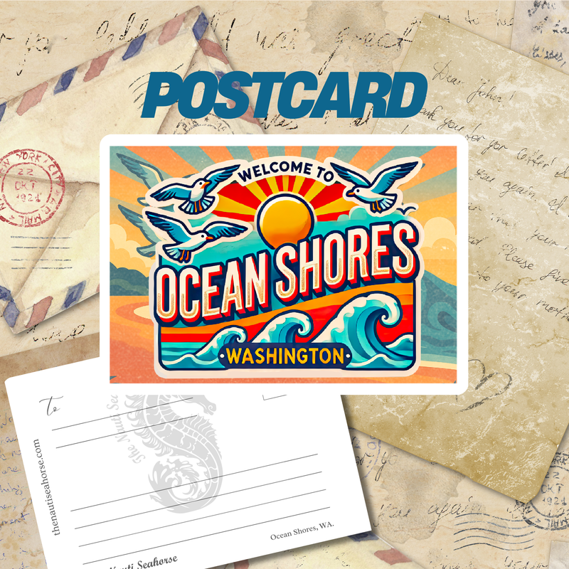 Ocean Shores Seagull Postcard, Washington City Postcards, 5x7 Glossy Collectibles