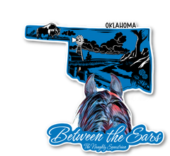 Oklahoma Between the Ears Series Refrigerator Magnet, Western Magnet