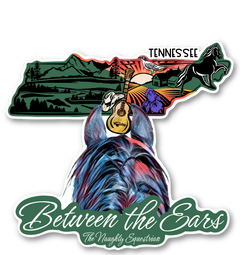 Tennessee Between the Ears Series Sticker, Vinyl Car Decal