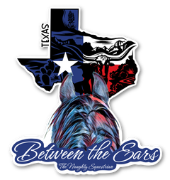 Texas Between the Ears Series Sticker, Vinyl Car Decal