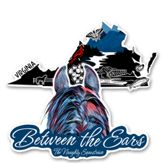 Virginia Between the Ears Series Sticker, Vinyl Car Decal