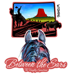 Wyoming Between the Ears Series Sticker, Laptop Sticker, Western Vinyl Decal