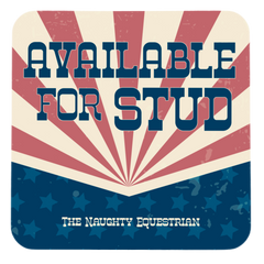 Available For Stud Fridge Magnet