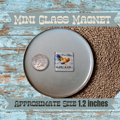 Mini Glass Magnets Barnyard Snark Magnets