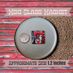 Mini Glass Magnets: Herd You Love Me, Equestrian Gift, Set of 6