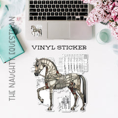 Horse Diagram Sticker