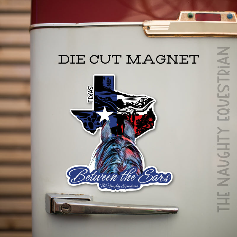 Texas Between the Ears Series Refrigerator Magnet, Western Magnet